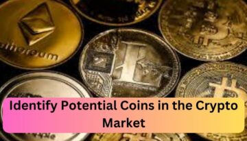 Identify Potential Coins in the Crypto Market