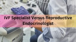IVF Specialist Versus Reproductive Endocrinologist