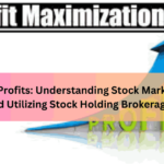 Maximizing Profits