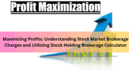 Maximizing Profits