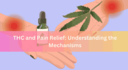 THC and Pain Relief Understanding the Mechanisms