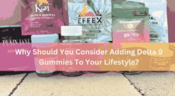 Why Should You Consider Adding Delta 9 Gummies To Your Lifestyle?