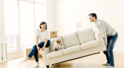 Make Your Next Move Smooth and Efficient by Choosing the Right Removalist Partner